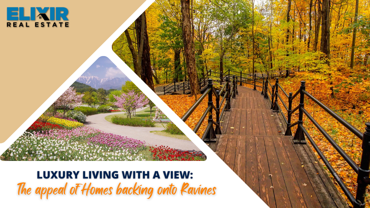 Luxury Living with a view: The appeal of Homes backing onto Ravines